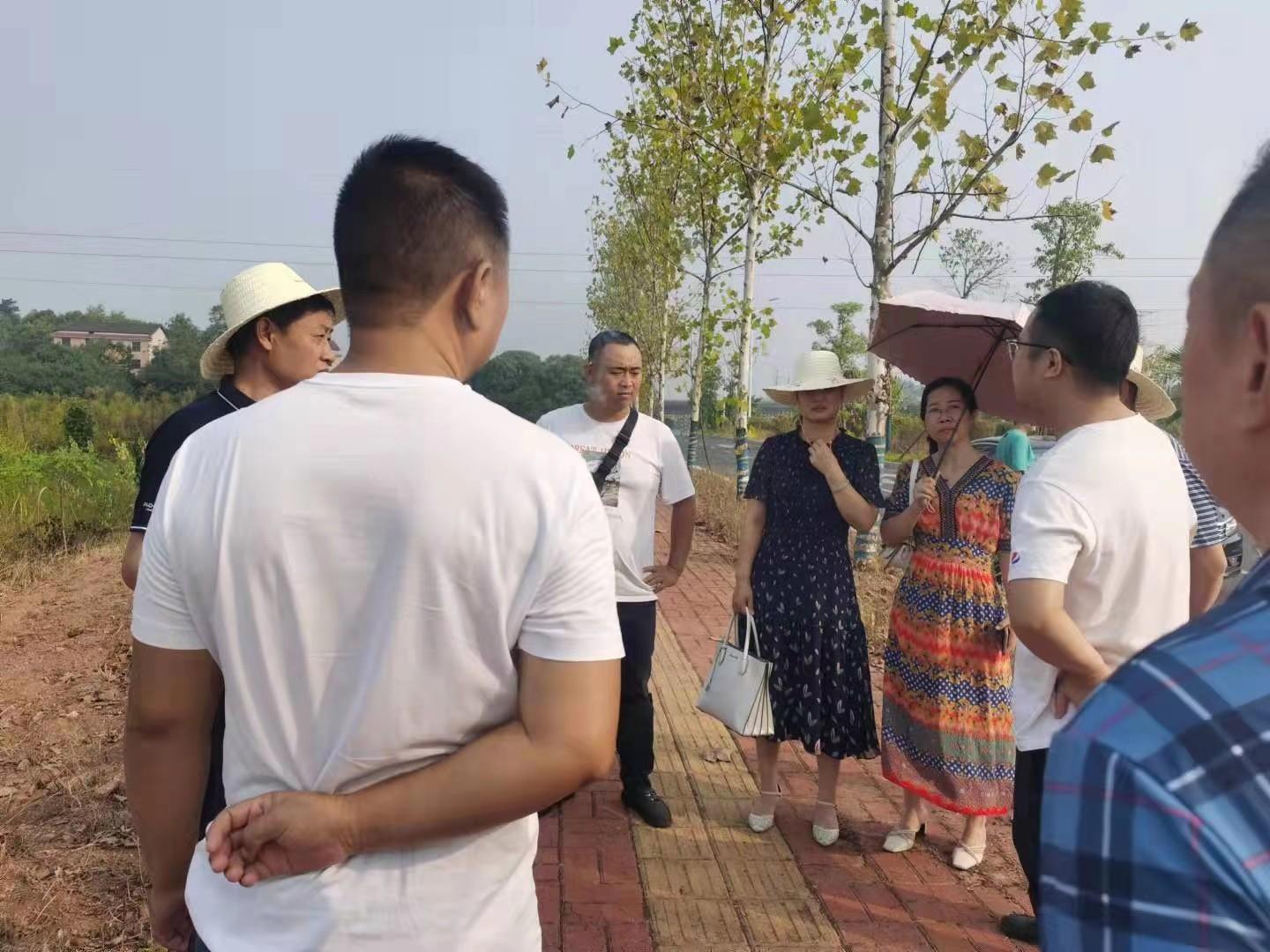 1632905556461323.jpg 1aeaa2a7611ab0ac626de03febdd7c3.jpg